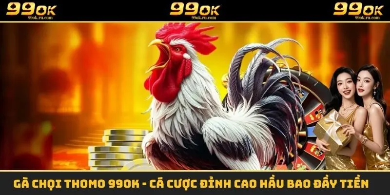 Gà Chọi Thomo