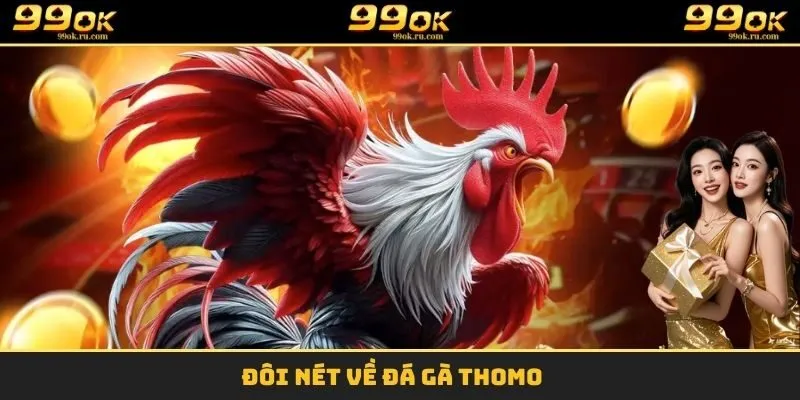 Đôi nét về đá gà thomo