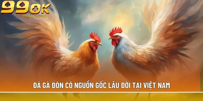Đá gà đòn: Tổng hợp những thông tin có thể bạn chưa biết 1 Đá gà đòn có nguồn gốc lâu đời tại Việt Nam