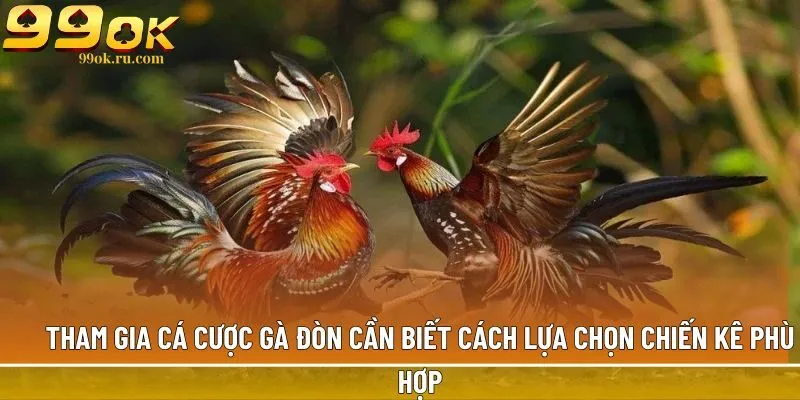Đá gà đòn: Tổng hợp những thông tin có thể bạn chưa biết 3 Tham gia cá cược gà đòn cần biết cách lựa chọn chiến kê phù hợp